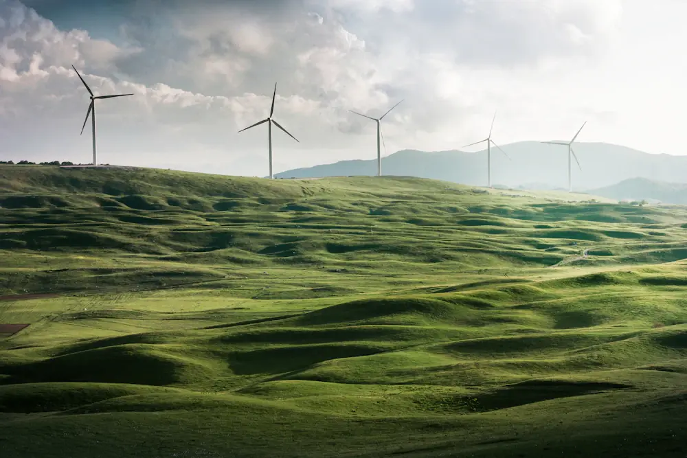 Vedere aeriană a unui sistem fotovoltaic